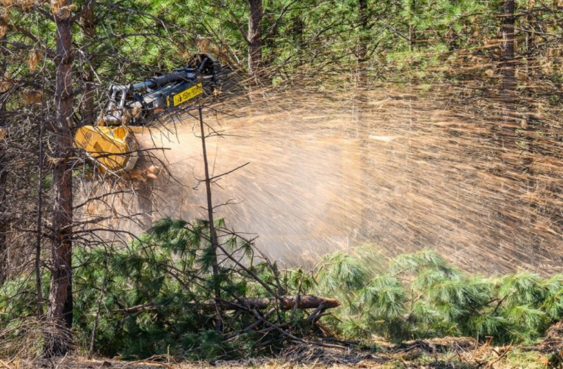 The LX825 hydraulic system is optimized for masticating, delivering high performance and production rates and excellent fuel economy. The TCi 4154-15 mulching head is perfectly matched to the carrier.<br>IMAGE SOURCE: Tigercat