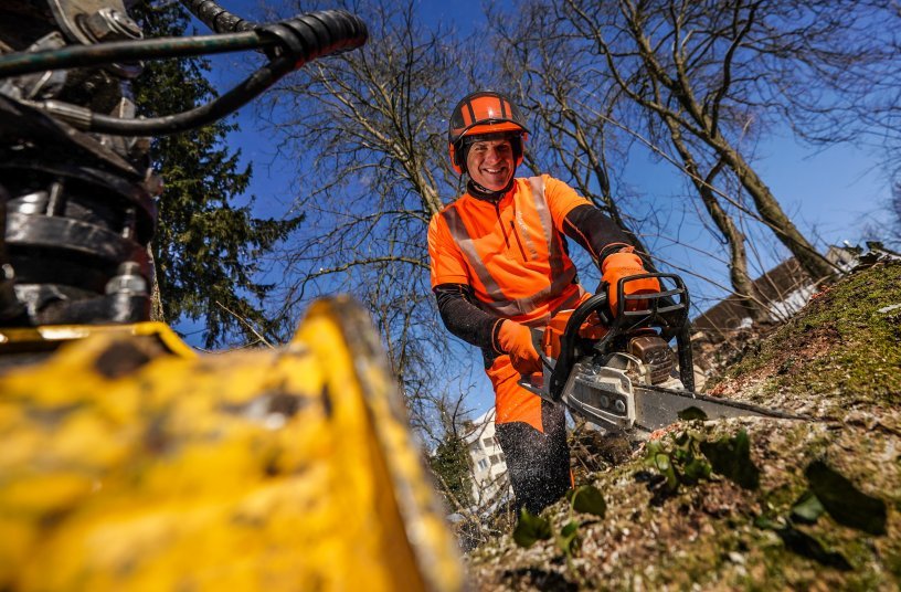Fernsehstar Herbert Ulrichs Leidenschaft ist die Baumpflege. Er ist spezialisiert auf Baumkontrollen und Baumpflege. <br> Bildquelle: Herbert Ulrich/jacklinfotos.com