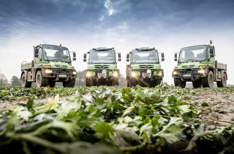 Insgesamt zwölf Mercedes-Benz Unimog hat Mählmann Gemüsebau im Einsatz, damit die Frucht frisch auf den Markt kommt. <br> Bildquelle: Daimler Truck AG 