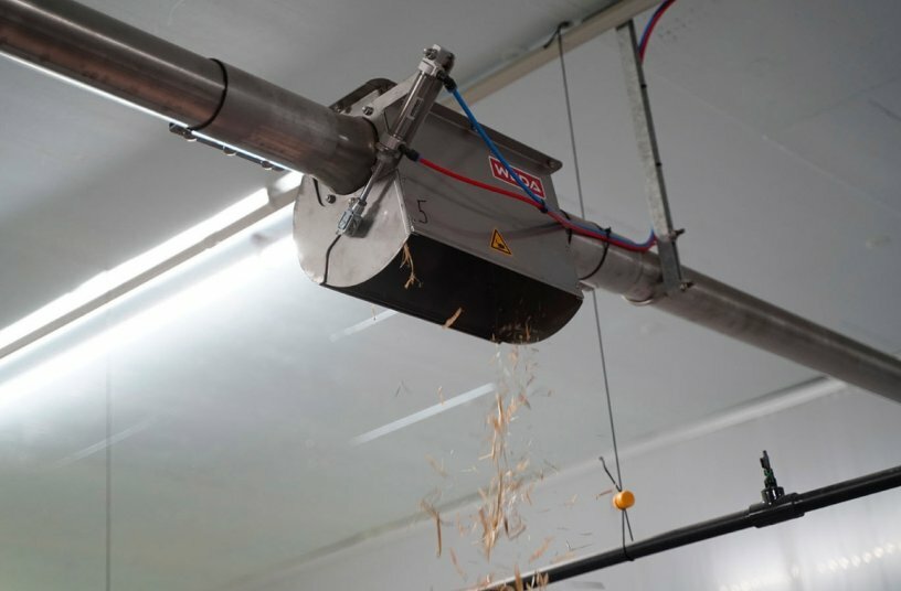 Via a durable chain conveyor, the straw – up to 80 millimetres in length – is transported directly to the pens via a chain conveyor system in a way that is gentle on the material.<br>IMAGE SOURCE: WEDA