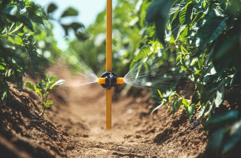 Viel Neues für den Pflanzenschutz: agrotop präsentiert zahlreiche Neuheiten und Weiterentwicklungen auf der AGRITECHNICA 2025<br>BILDQUELLE: agrotop