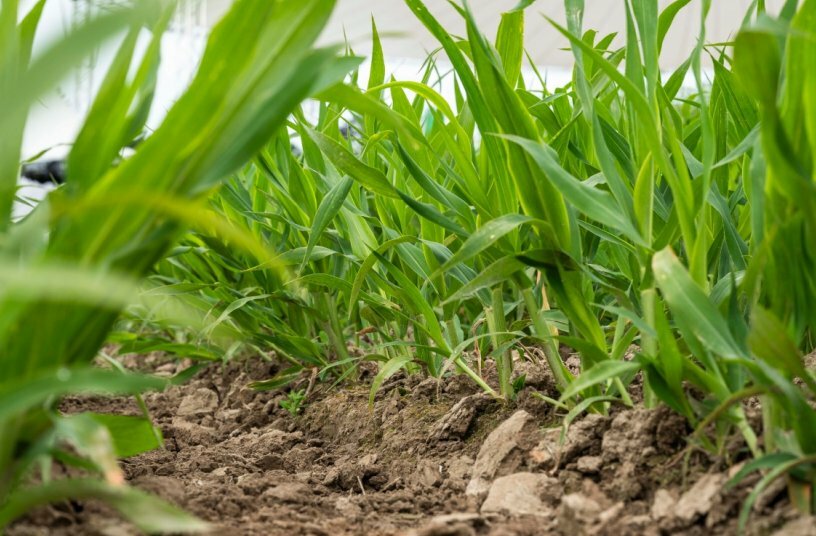 Soil Health is featured at Agritechnica 2025<br>IMAGE SOURCE: DLG e.V.