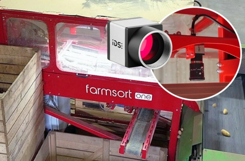 IDS camera technology enables precision potato sorting for professional and family-run farms