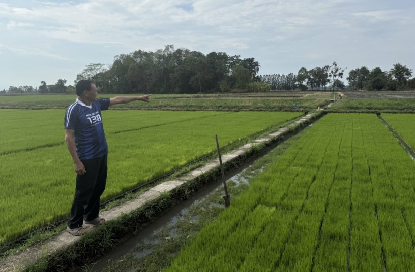 CNH 纽荷兰设备助泰国稻农以秸秆还田替代焚烧