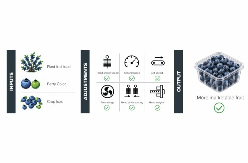 Oxbo AutoHarvest<br>IMAGE SOURCE: Oxbo