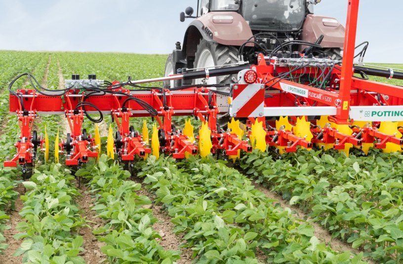 Advanced growth crops can be easily weeded using the FLEXCARE V 6200<br>IMAGE SOURCE: PÖTTINGER Landtechnik GmbH