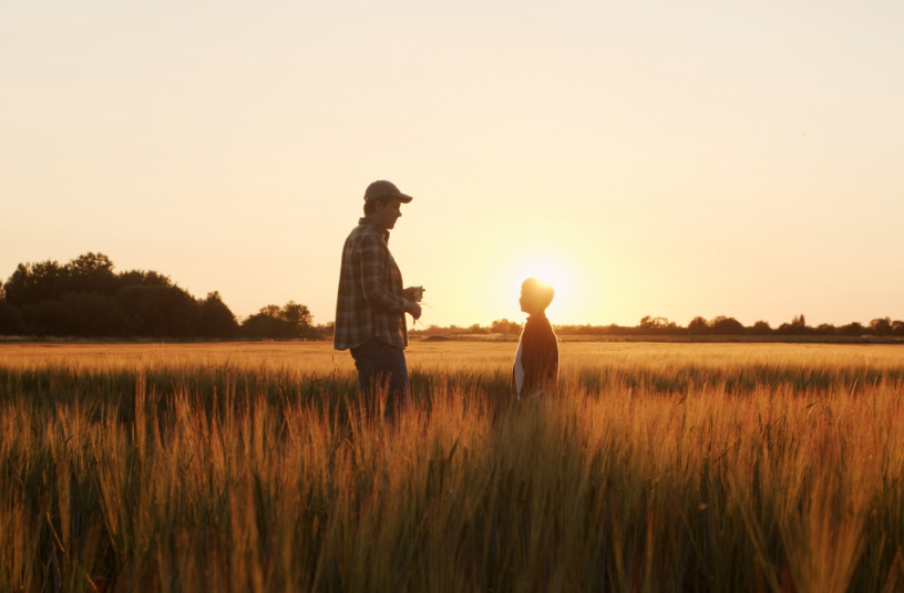 Social farming creates meaningful links between farming and community life<br>IMAGE SOURCE: Adobe Stock