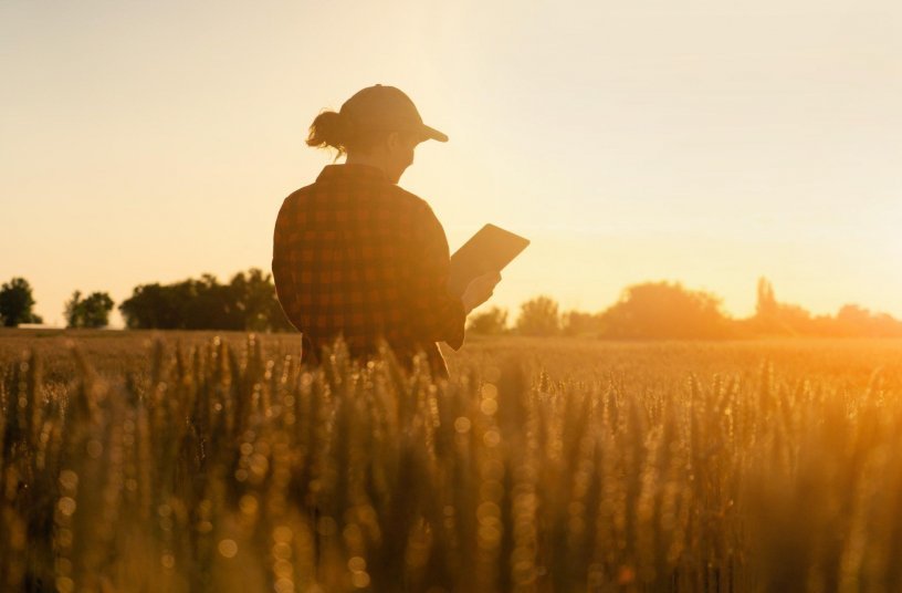 Die Zukunft der Landwirtschaft wird mehr und mehr digital. Sensoren spielen dabei eine wichtige Rolle. <br> Bildquelle: Continental