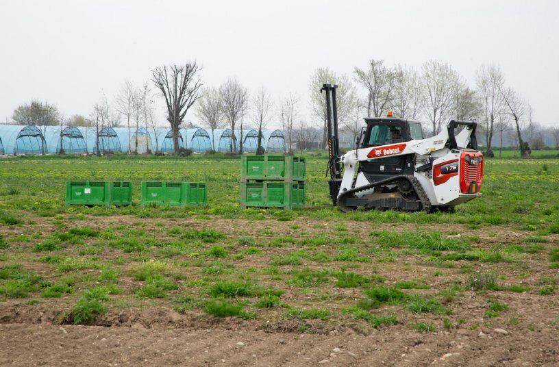 Bobcat T76 Compact Track Loader: An Irreplaceable Ally for Harvesting in the Euroverde Fields<br>IMAGE SOURCE: Doosan Bobcat EMEA