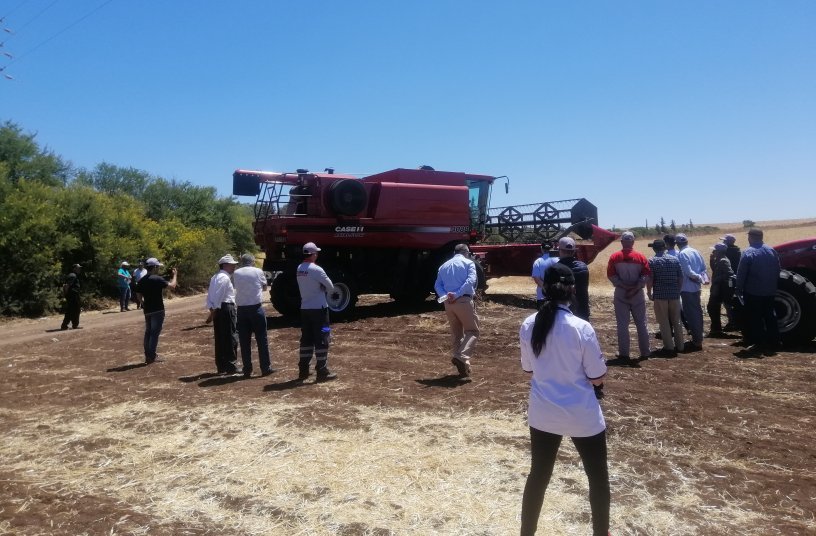 Farmers test out the Axial-Flow in Morocco<br>IMAGE SOURCE: CNH Industrial N.V. Corporate Office; CASE IH
