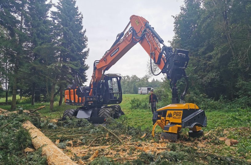 New Doosan Wheeled Excavator Outstanding in Forestry Work <br> Image source: Doosan Infracore Europe B.V.