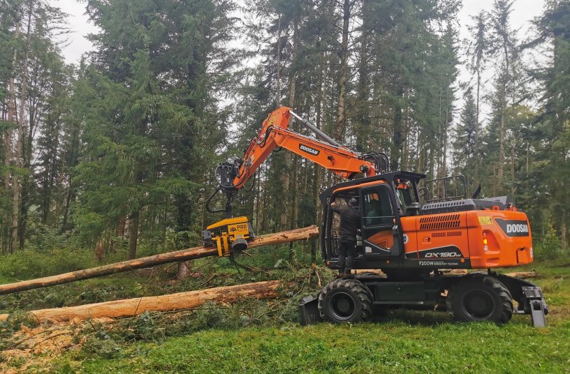 New Doosan Wheeled Excavator Outstanding in Forestry Work <br> Image source: Doosan Infracore Europe B.V.