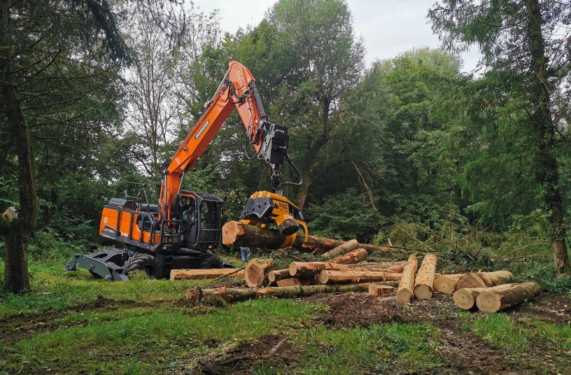 New Doosan Wheeled Excavator Outstanding in Forestry Work<br>Image source: Doosan Infracore Europe B.V.