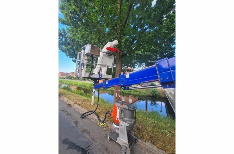 Husqvarna Staubabsauger unterstützen sicher und effizient bei der Beseitigung der Raupen des Eichenprozessionsspinner<br>BILDQUELLE: Husqvarna