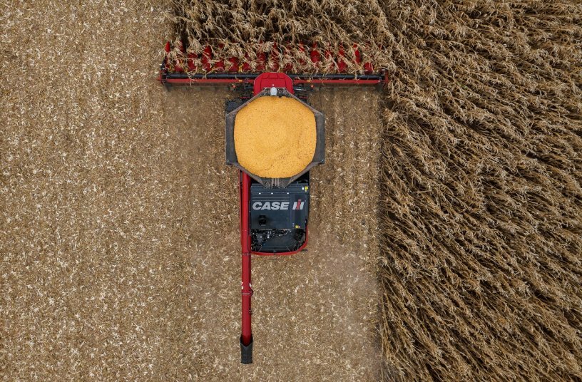 Neue Case IH Maispflücker optimieren Zuführung, Arbeitsgeschwindigkeit und Durchsatz<br>BILDQUELLE: CASE IH