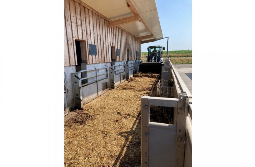 With Quick.Gate, on the other hand, a long corridor forms along the entire length of the barn. The farmer can muck out the corridor from one end to the other in one go.<br>IMAGE SOURCE: WEDA Dammann & Westerkamp GmbH