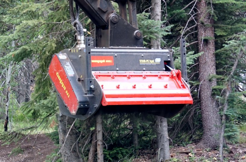 Effiziente Wurzelstockbeseitigung nach der Baumernte mit SEPPI Stubbenfräsen<br>BILDQUELLE: SEPPI M. S.p.A.