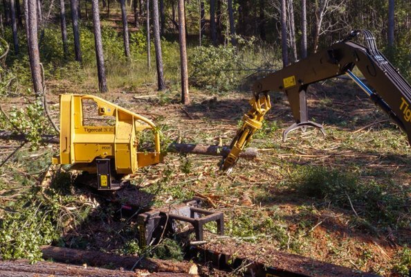 Multiple Tigercat PD26 pull-through delimber units have been undergoing extensive field testing for several months.