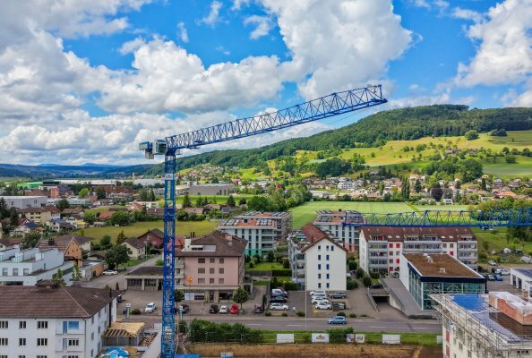 Raimondi Cranes