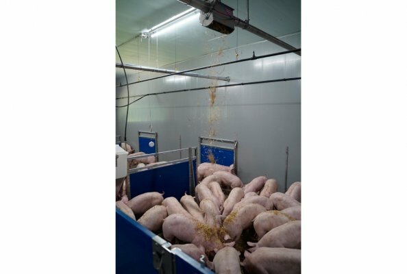 The Straw4PX and Manure4PX add-on modules from WEDA Dammann & Westerkamp enable the full integration of automatic straw dosing and slurry gate control directly into the existing process controller of the WEDA feeding system.