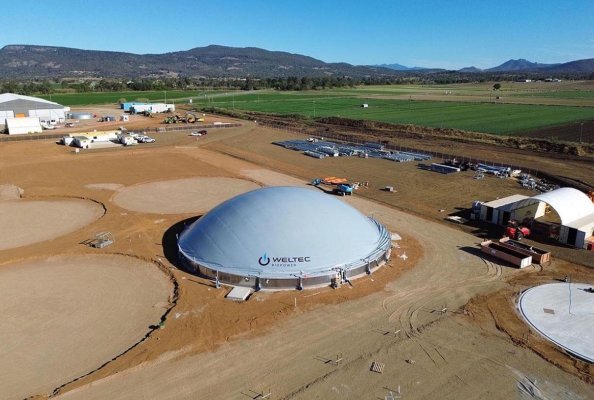 WELTEC is constructing a bioenergy plant for a vegetable processor in Queensland, Australia. Once fully developed, this plant could supply electricity to around 31,000 households.
