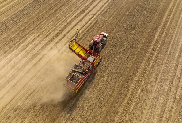 Case IH at Potato Europe Fair