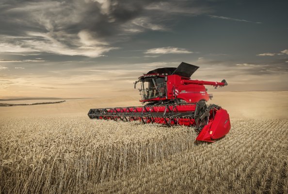 CASE-IH AXIAL FLOW 9250 HARVESTING ON FIELD