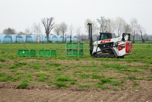 Bobcat T76 Compact Track Loader: An Irreplaceable Ally for Harvesting in the Euroverde Fields