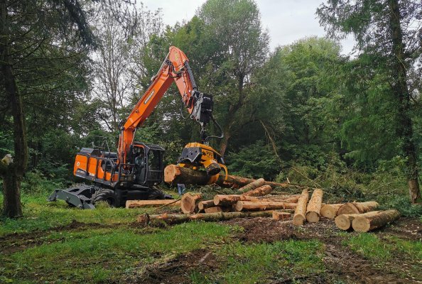 New Doosan Wheeled Excavator Outstanding in Forestry Work