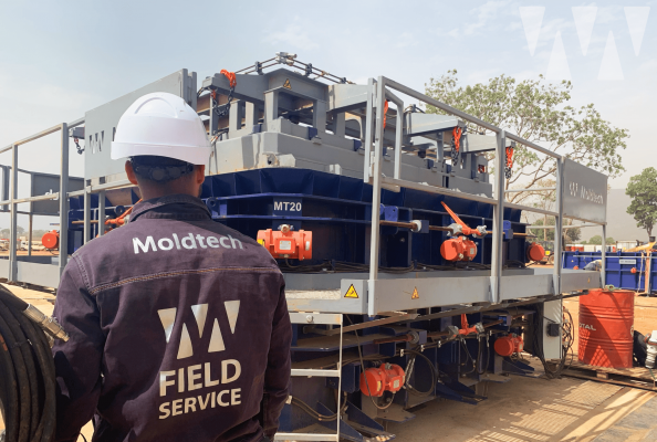 MOLDTECH MT20