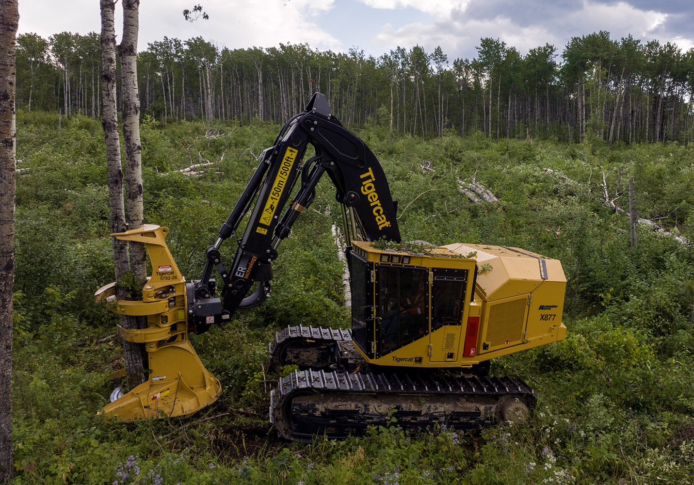 Tigercat X877 Buncher